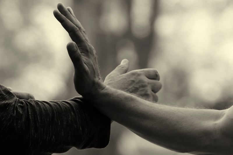 Tai Chi in Nature